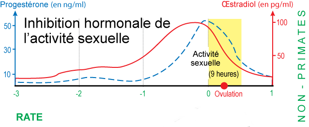 Activite sexuelle rate