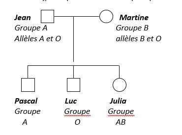 Arbre genealogique groupe sanguins